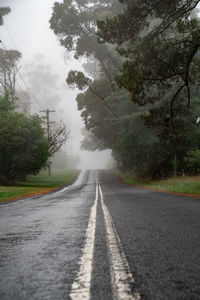 Empty road along trees