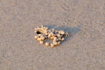 sand