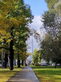 People walking on footpath amidst trees in park