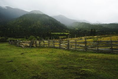 Scenic view of grassy field against sky