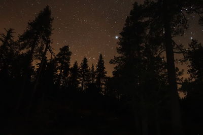 Low angle view of trees against sky at night