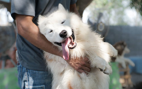 Midsection of man holding dog outdoors 