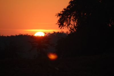 Silhouette trees against orange sky during sunset