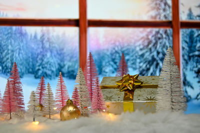 Close-up of christmas tree