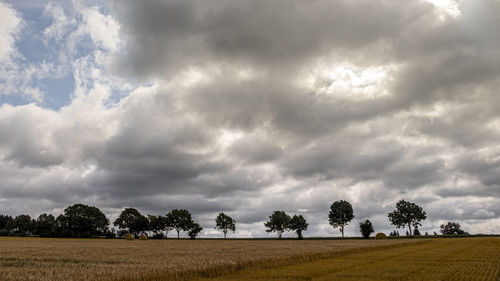 Scenic view of field against sky