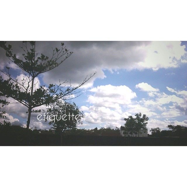 transfer print, tree, sky, auto post production filter, tranquility, cloud - sky, beauty in nature, growth, nature, tranquil scene, cloud, scenics, cloudy, silhouette, low angle view, field, outdoors, branch, day, landscape