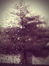 Close-up of water drops on glass