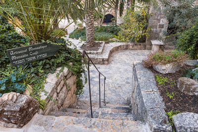 Plants growing by stone wall