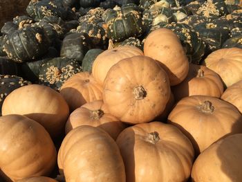 Full frame shot of pumpkins for sale