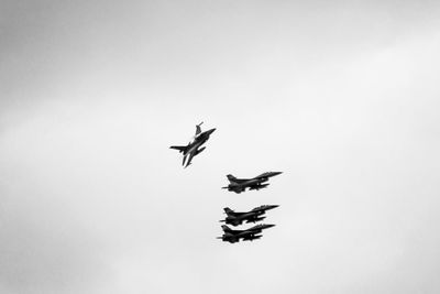 Low angle view of birds flying against clear sky