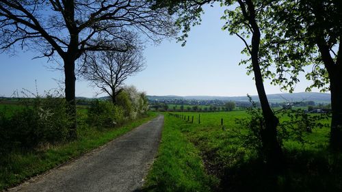 Road amidst trees on field against sky