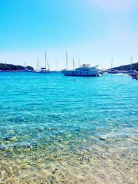 Boats in harbor