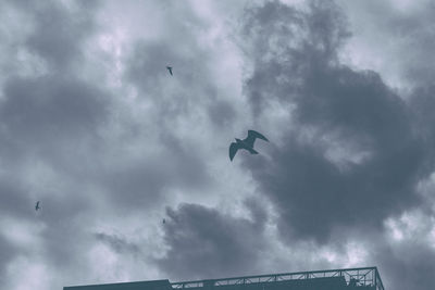 Low angle view of airplane flying in sky