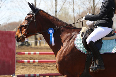 Man riding horse in ranch