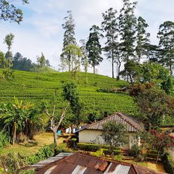 Scenic view of land against sky