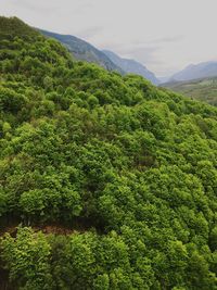 Scenic view of green landscape against sky