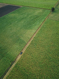 Aerial view of farms 