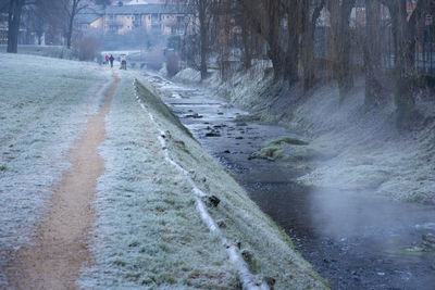 Road amidst trees during winter