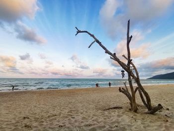 beach