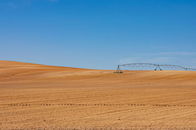 A beautiful sown field under the blue sky