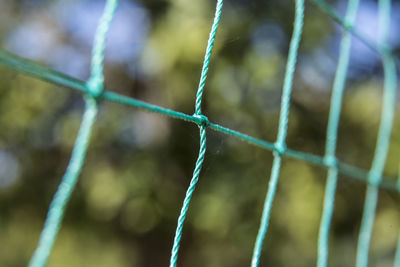 Close-up of ropes on fence