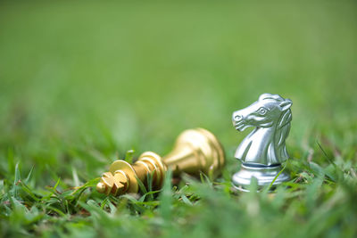 Close-up of chess pieces on grassy field