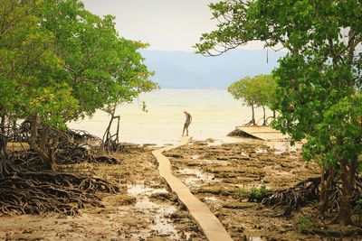 Scenic view of beach against sky