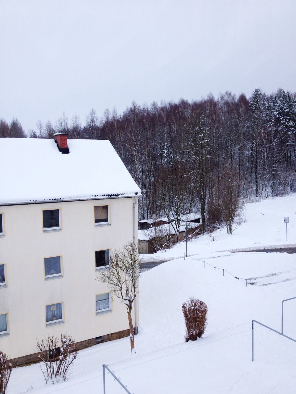 winter, snow, cold temperature, season, weather, tree, covering, building exterior, built structure, architecture, frozen, house, white color, covered, nature, clear sky, field, tranquility, landscape, day