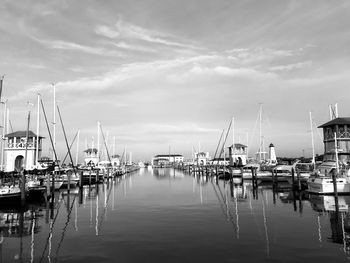 Sailboats moored in harbor