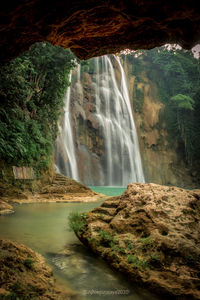 Scenic view of waterfall in forest