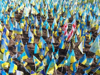 Kiev, ukraine - august 23, 2022 small the flags