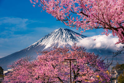 Scenic view of snowcapped mountain peak against sky