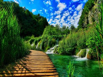 Scenic view of waterfall in forest against sky