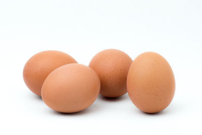 Close-up of eggs against white background