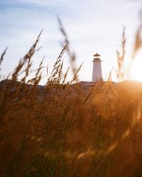 Lighthouse on field against sky