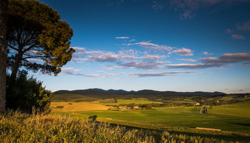 Scenic view of agricultural field against sky