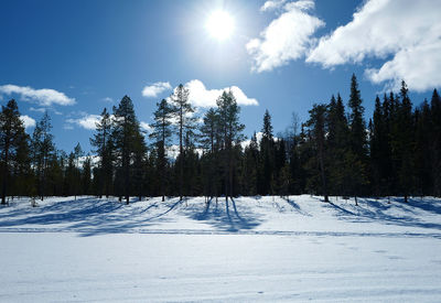 Trees on snow covered landscape against sky