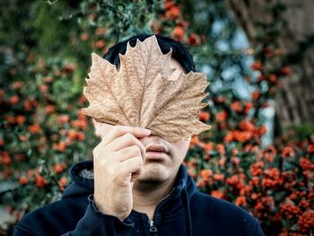Midsection of man holding maple leaf during autumn