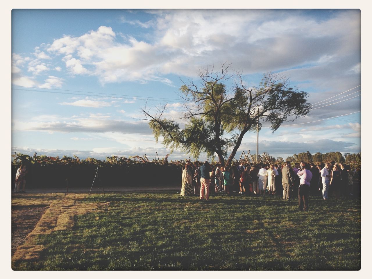 sky, transfer print, cloud - sky, tree, cloudy, auto post production filter, landscape, field, cloud, tranquil scene, nature, tranquility, scenics, beauty in nature, fence, rural scene, outdoors, large group of people, leisure activity