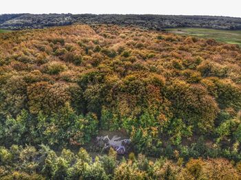 High angle view of lizard on landscape