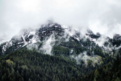 Scenic view of waterfall in forest against sky