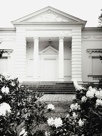 Low angle view of building