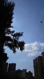 Low angle view of tree and buildings against sky