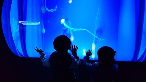 Rear view of siblings in aquarium