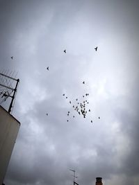 Low angle view of silhouette birds flying against sky