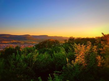 Scenic view of field against clear sky during sunset