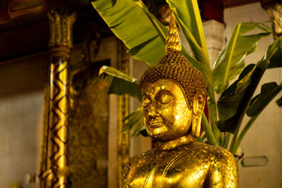 Golden buddha statue in temple