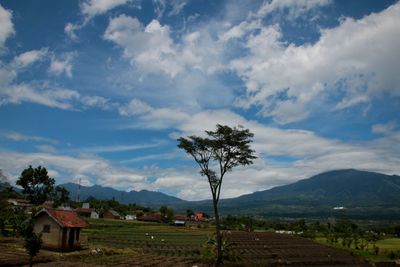 Scenic view of landscape against cloudy sky