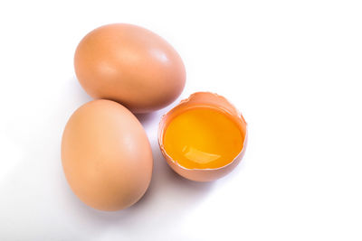 egg
