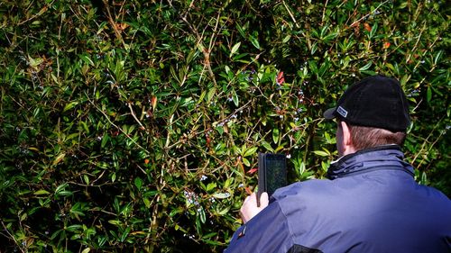 Rear view of man wearing hat against plants